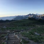 Go Hiking But Don't Get Poisoned