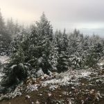 Go Hiking and Be A Badass