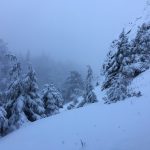 Go Hiking In Shorts, No Shirt When It Is Freezing